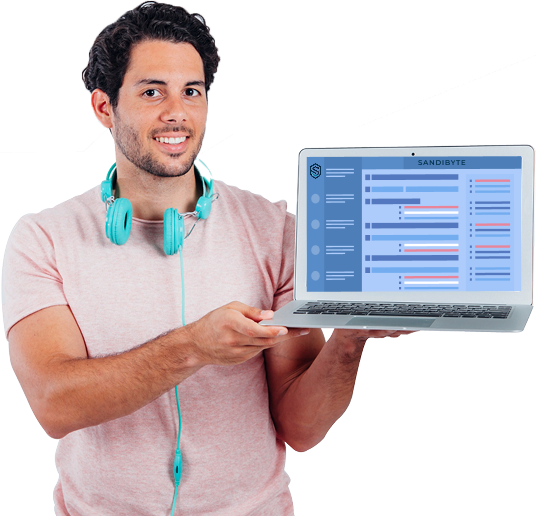 Professional Man with Laptop